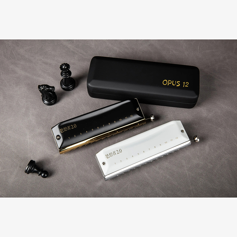 Harmonica chromatique 12 trous deux couleurs