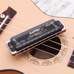 Harmonica diatonique noir brillant 7 accordages -