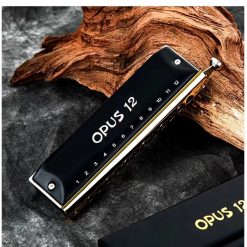 Magnifique Harmonica chromatique en acier 12 trous