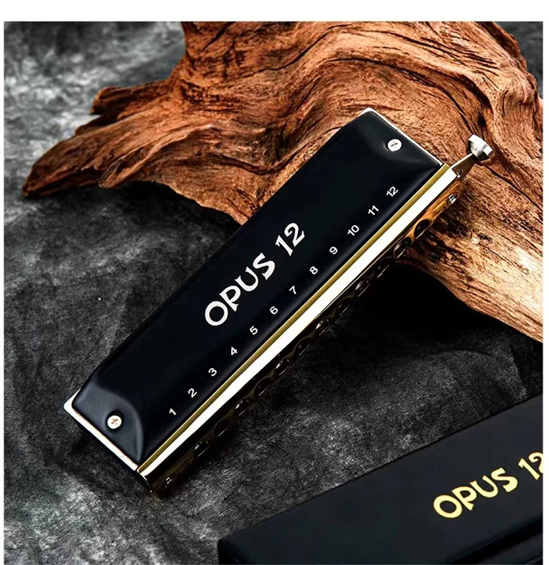 Magnifique Harmonica chromatique en acier 12 trous
