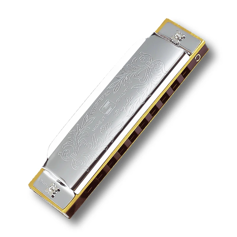 détails Harmonica diatonique en métal design blues