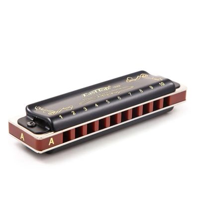 détails complets de l'Harmonica diatonique noir brillant 7 accordages