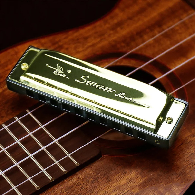 Harmonica diatonique blues 5 couleurs pop - couleur or