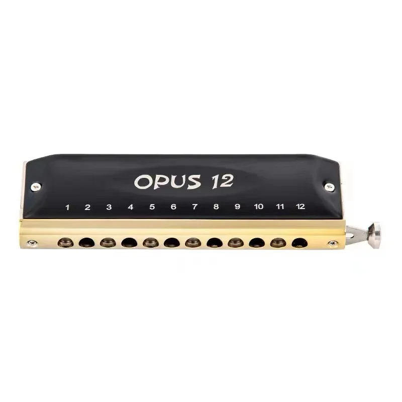 vue complète Harmonica chromatique en acier 12 trous