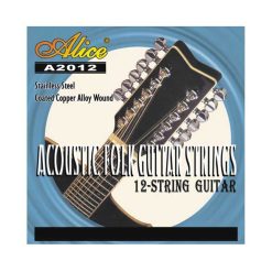 Avant Corde per Chitarra Acustica a 12 Corde - Eccellente Risonanza, Tono Brillante e Armonie Ricche