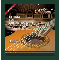 Corde per Chitarra Classica per Ensemble - Quinta Corda Bassa per Chitarra