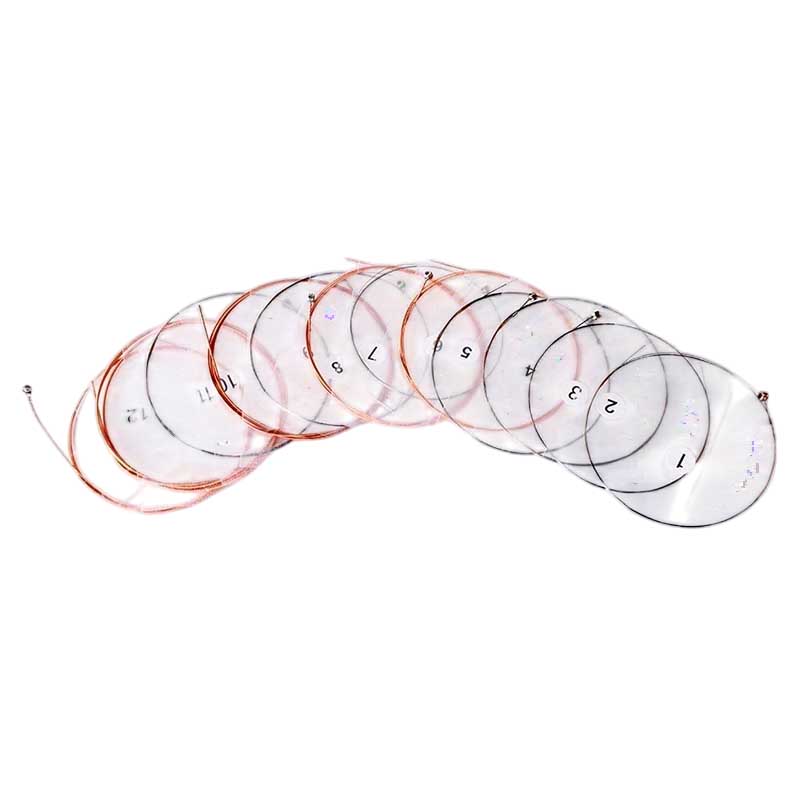 Corde per Chitarra Acustica a 12 Corde - Eccellente Risonanza, Tono Brillante e Armonie Ricche
